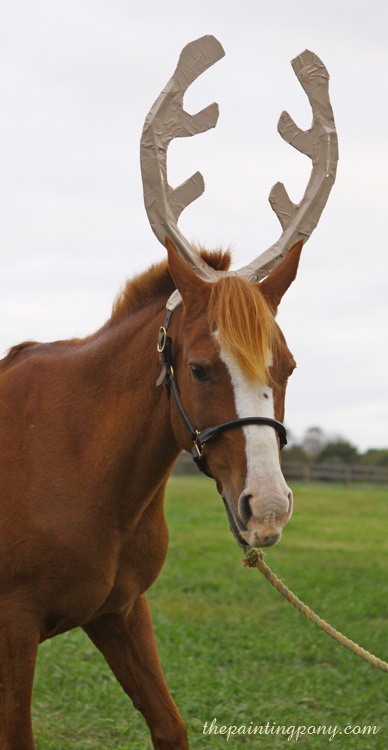 CHRISTMAS REINDEER ANTLERS FOR HORSE/PONY NEW EQUESTRIAN FANCY DRESS 